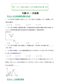 专题09 一次函数 -三年（2023-2025）中考数学真题分类汇编（含答案）