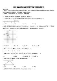 2025届武汉市洪山区初中数学毕业考试模拟冲刺卷含解析