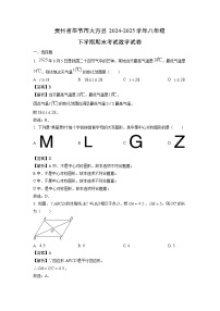 贵州省毕节市大方县2024-2025学年八年级下学期期末考试 数学试卷（解析版）
