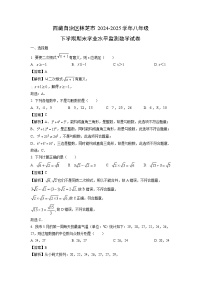西藏自治区林芝市2024-2025学年八年级下学期期末学业水平监测数学试卷（解析版）