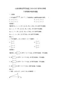 山东省泰安市岱岳区2024-2025学年七年级下学期期中数学试卷（解析版）