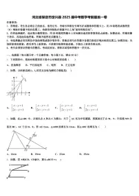 河北省保定市定兴县2025届中考数学考前最后一卷含解析