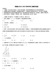 枣强县2024-2025学年中考二模数学试题含解析