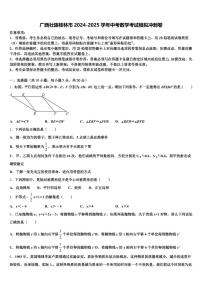 广西壮族桂林市2024-2025学年中考数学考试模拟冲刺卷含解析