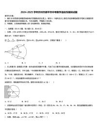 2024-2025学年忻州市原平市中考数学适应性模拟试题含解析