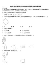 2024-2025学年黑龙江省双鸭山市岭东区中考数学押题卷含解析