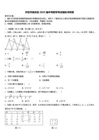 开封市南关区2025届中考数学考试模拟冲刺卷含解析