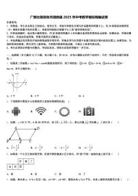 广西壮族百色市靖西县2025年中考数学模拟精编试卷含解析