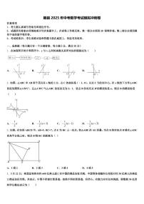 朗县2025年中考数学考试模拟冲刺卷含解析