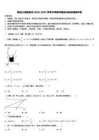 黑龙江省鹤岗市2024-2025学年中考数学最后冲刺浓缩精华卷含解析