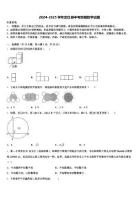 2024-2025学年定日县中考四模数学试题含解析