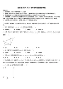 吉林省2024-2025学年中考五模数学试题含解析
