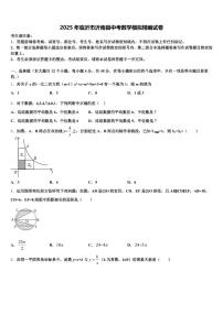 2025年临沂市沂南县中考数学模拟精编试卷含解析