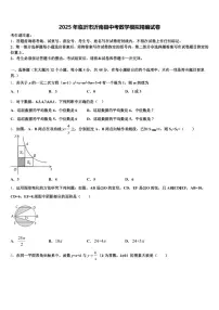 2025年临沂市沂南县中考数学模拟精编试卷含解析