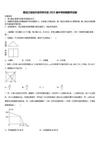 黑龙江省哈尔滨市呼兰区2025届中考四模数学试题含解析
