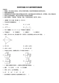 忻州市宁武县2025届中考数学五模试卷含解析