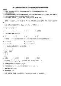 浙江省舟山市定普陀区2025届中考数学考试模拟冲刺卷含解析