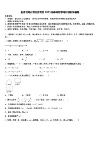 浙江省舟山市定普陀区2025届中考数学考试模拟冲刺卷含解析