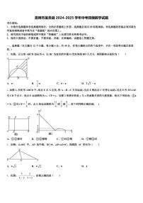 昆明市呈贡县2024-2025学年中考四模数学试题含解析
