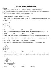 2025年社旗县中考数学全真模拟试卷含解析