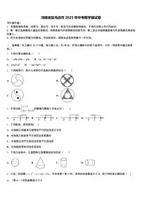 河南省驻马店市2025年中考数学模试卷含解析