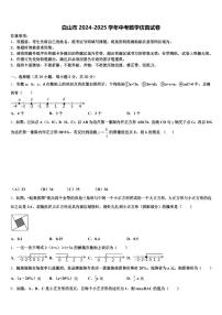 白山市2024-2025学年中考数学仿真试卷含解析