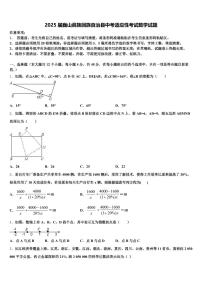 2025届巍山彝族回族自治县中考适应性考试数学试题含解析