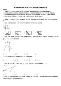 新宾满族自治县2024-2025学年中考五模数学试题含解析