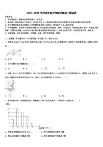 2024-2025学年靖宇县中考数学最后一模试卷含解析