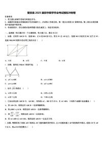 隆安县2025届初中数学毕业考试模拟冲刺卷含解析