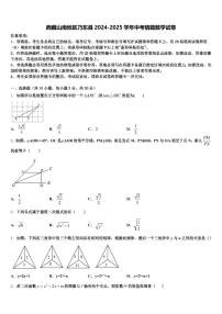 西藏山南地区乃东县2024-2025学年中考猜题数学试卷含解析