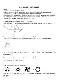 2025年项城市中考数学仿真试卷含解析