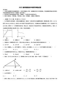 2025届呼图壁县中考数学押题试卷含解析