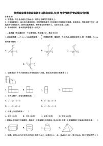 贵州省安顺市紫云苗族布依族自治县2025年中考数学考试模拟冲刺卷含解析