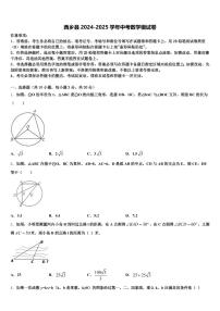 西乡县2024-2025学年中考数学模试卷含解析