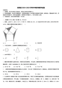 高青县2024-2025学年中考联考数学试题含解析