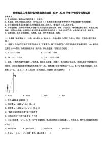 贵州省遵义市务川仡佬族苗族自治县2024-2025学年中考数学四模试卷含解析