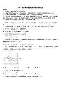 2025年衡水市武邑县中考数学押题试卷含解析
