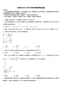 龙州县2024-2025学年中考数学模拟试题含解析