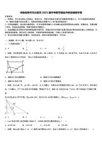 河南省焦作市沁阳市2025届中考数学最后冲刺浓缩精华卷含解析