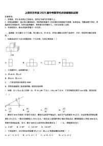 上饶市万年县2025届中考数学对点突破模拟试卷含解析
