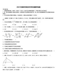 2025年潍坊市寿光市中考五模数学试题含解析