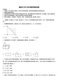 咸阳市2025年中考数学模拟试题含解析