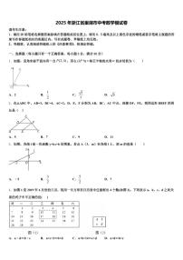 2025年浙江省巢湖市中考数学模试卷含解析