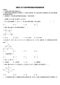 浏阳市2025届中考数学最后冲刺浓缩精华卷含解析