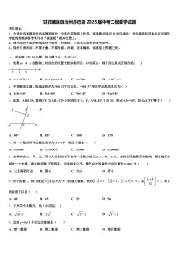 甘孜藏族自治州丹巴县2025届中考二模数学试题含解析