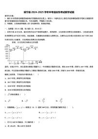 绥宁县2024-2025学年中考适应性考试数学试题含解析