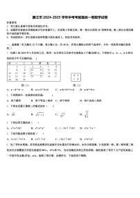 廉江市2024-2025学年中考考前最后一卷数学试卷含解析