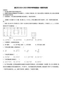 廉江市2024-2025学年中考考前最后一卷数学试卷含解析