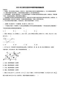 2025年三亚市文昌市中考数学模拟精编试卷含解析